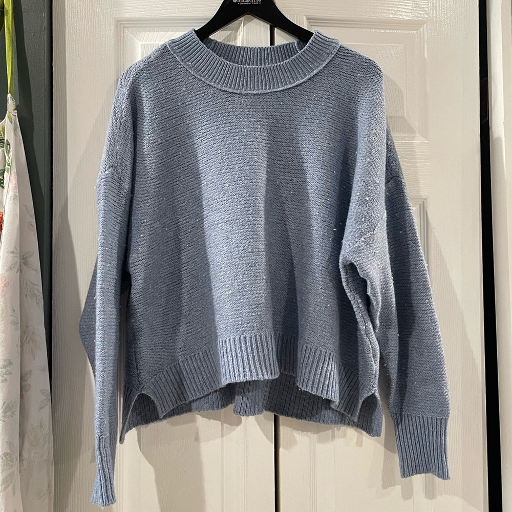 American Eagle Outfitters Light Blue Crew Neck Sweater